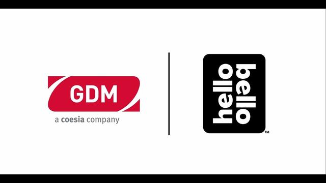 Gdm 8501-C Lancia In Alluminio Completa – Accessorio Per Pulizia E Manutenzione Professionale