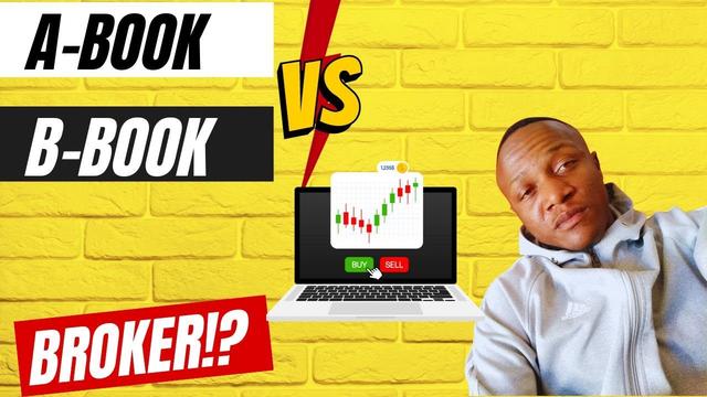 ¿Cómo Funcionan Los Brokers B Book? Una Guía Completa Para Entender El ...